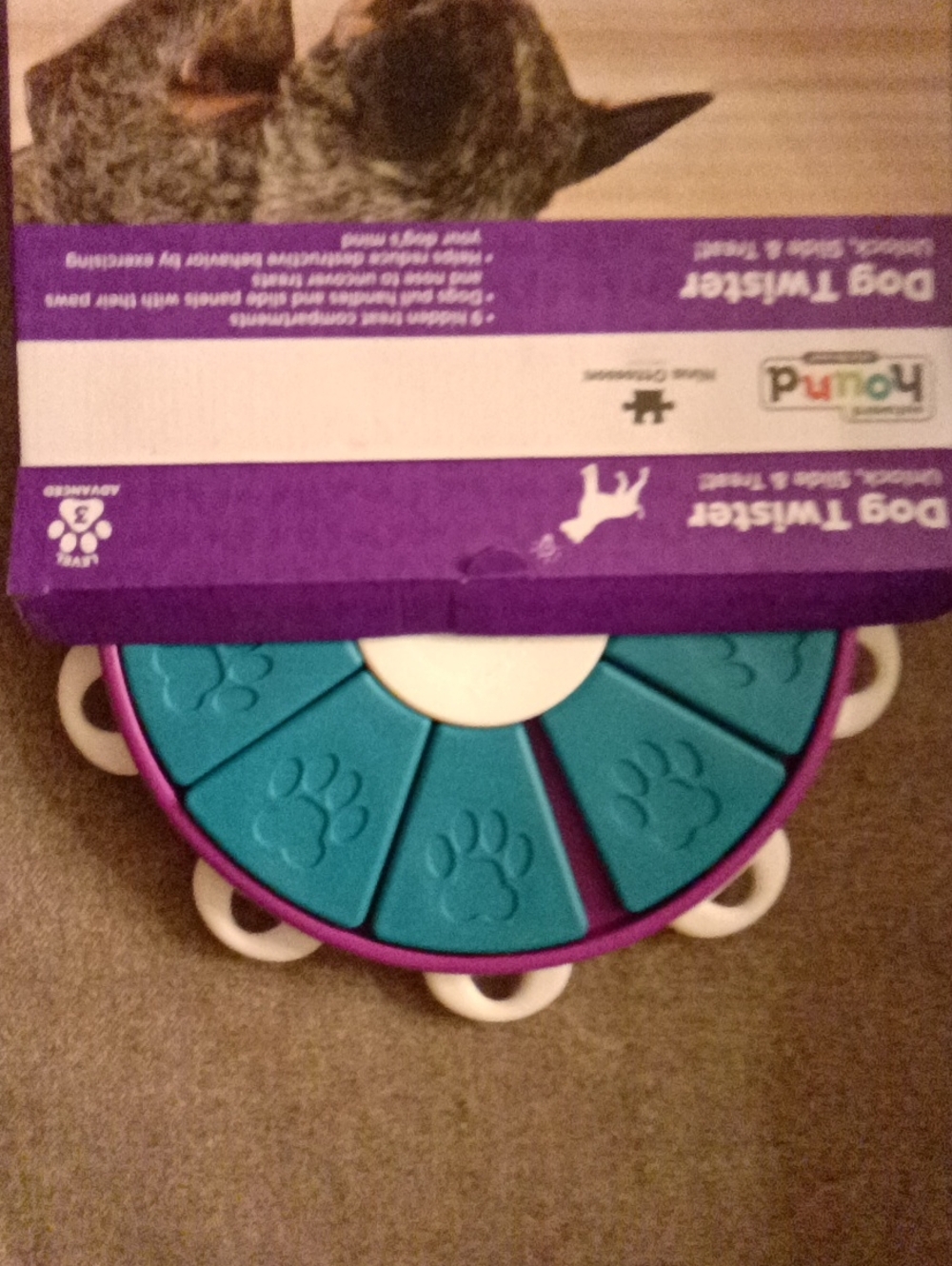 Interactive Pet Puzzle Toy - Purple & Teal for Small Pets